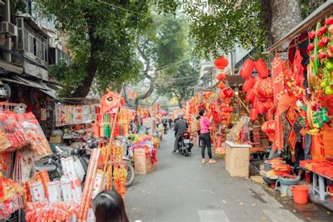 樹冠位置|樹冠位置對環境的影響